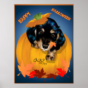 Dashund o Dia das Bruxas - poster da vaia