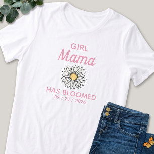 Data de Estabelecimento da Mama da Menina Rosa e B