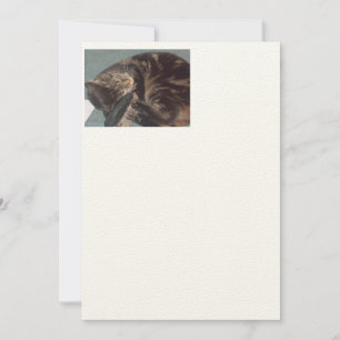 Dave Artisan, que brinca com os convites do Ecru