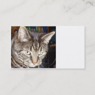 Dave está te observando Cartões de visitas