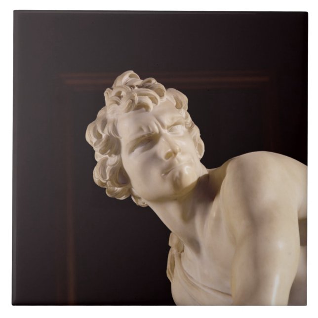 David, 1623-24 (mármore) (detalhe) (Frente)