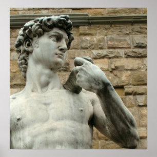 David 1 Poster de Michelangelo