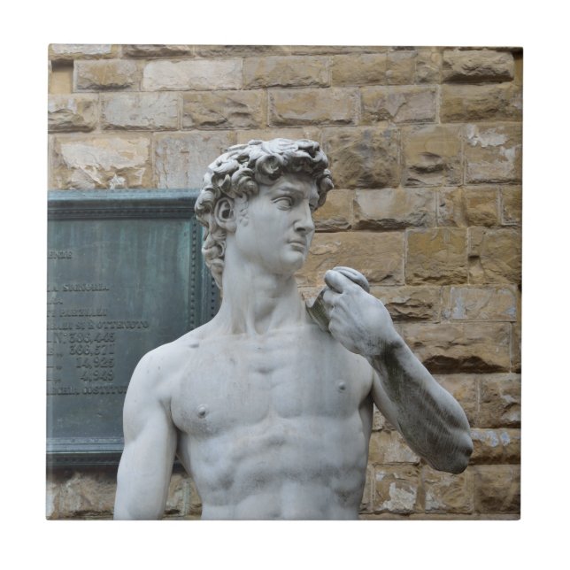 David de Michelangelo (Frente)
