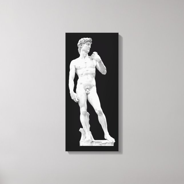 David por Michelangelo Canvas (Frente)