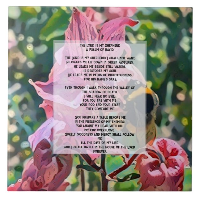 David Psalm 23 biblical quote (Frente)