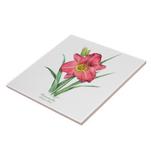 Daylily - A Tocha de Hunter