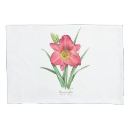 Daylily - A Tocha do Caçador