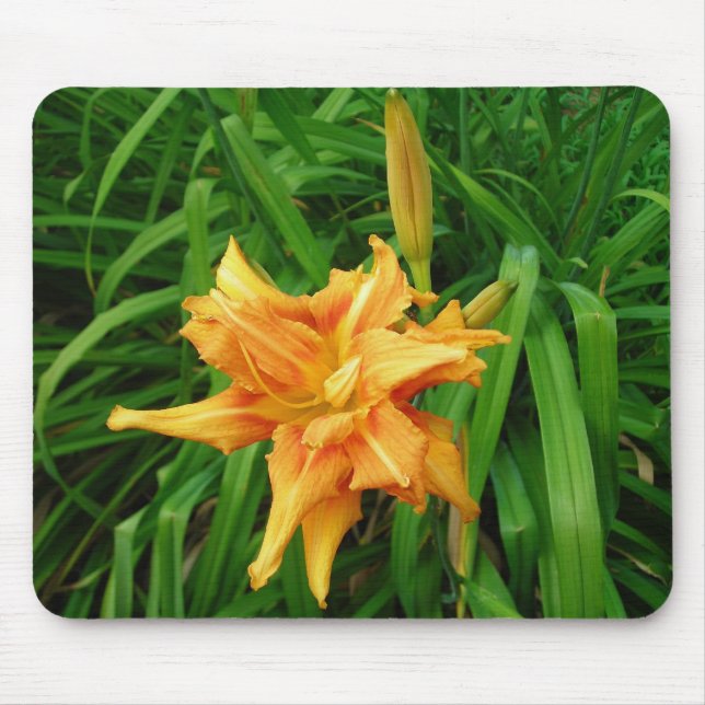 Daylily Mousepad (Frente)