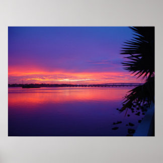 Daytona River Tropical Palm Tree Sunset Poster