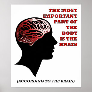 De acordo com o Brain Funny Poster