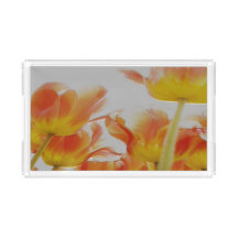 bandeja pequena feita sob encomenda do retângulo