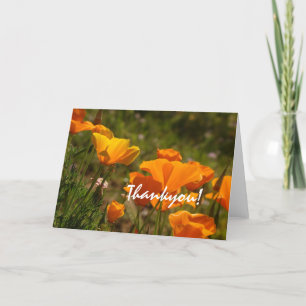 De Agradecimento California Poppies Obrigado! Cartão