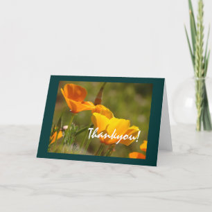 De Agradecimento California Poppies Obrigado! Cartão