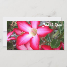 De Agradecimento Cartão com fotos Obrigado - Rosa do deserto