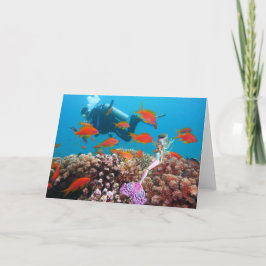 De Agradecimento Cartão da sereia