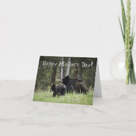 De Agradecimento Cartão do Dia das Mães da Mamãe Urso