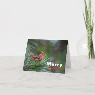 De Agradecimento Cartão Merry Christmas Note