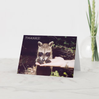 De Agradecimento cartão obrigado-você