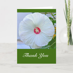 De Agradecimento Cartão "Obrigado" White Hibiscus