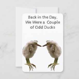 De Agradecimento Cartão Odd Ducks Nota