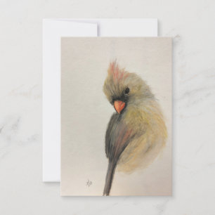 De Agradecimento Cartão Shy Red Bird Note