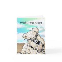 Cartão Terrier Curioso Beach Wheaten