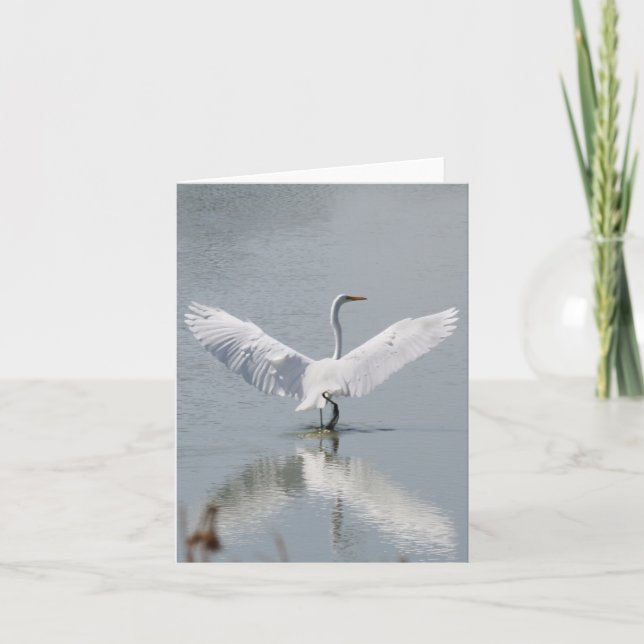 De Agradecimento Cartão vazio, Egret (Frente)