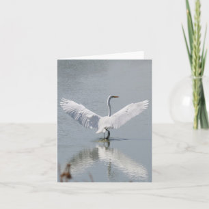 De Agradecimento Cartão vazio, Egret