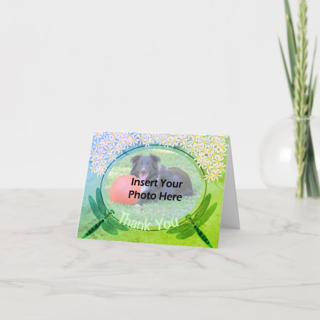 De Agradecimento Dragonflies Daisies Obrigado Cartão com fotos (Frente)