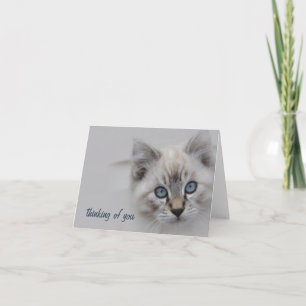 De Agradecimento Kitten Pensando no seu Cartão - Personalizável