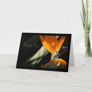 De Agradecimento OBRIGADO Cartão Bird-of-Paradise
