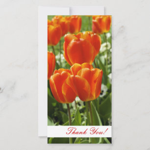 De Agradecimento Obrigado Cartão com fotos