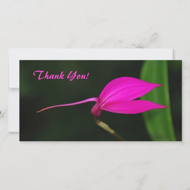 De Agradecimento Obrigado Cartão com fotos (Frente)