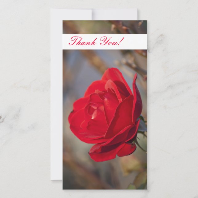 De Agradecimento Obrigado Cartão com fotos (Frente)