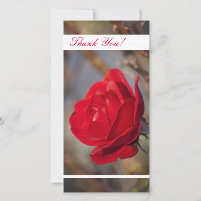 De Agradecimento Obrigado Cartão com fotos (Frente)