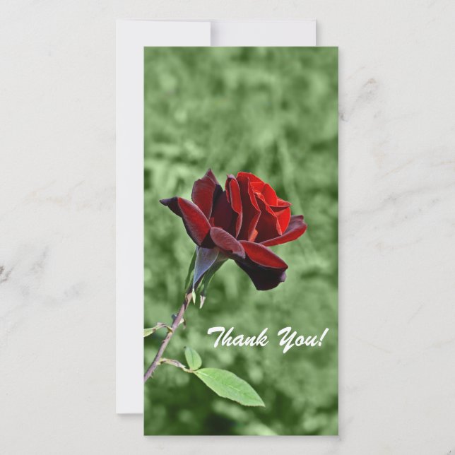 De Agradecimento Obrigado Cartão com fotos (Frente)