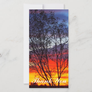 De Agradecimento Obrigado cartão com fotos - pôr do sol