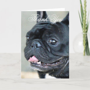 De Agradecimento Obrigado cartão do cão do buldogue francês