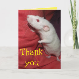 De Agradecimento obrigado com o cartão Dumbo Rat
