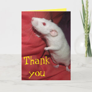 De Agradecimento obrigado com o cartão Dumbo Rat