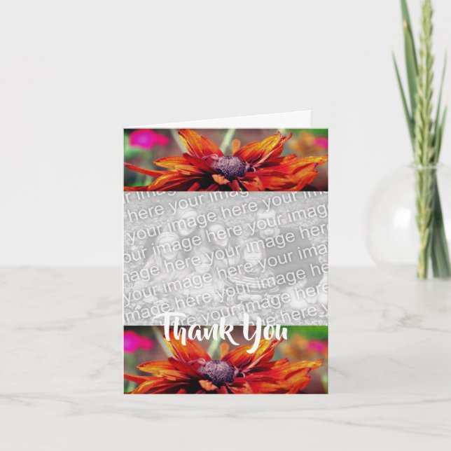 De Agradecimento Orange Daisy Flower Obrigado Cartão com fotos (Frente)
