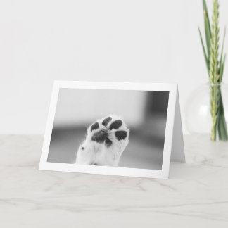 De Agradecimento Puppy High Five | Cartão em Branco