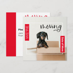 De Agradecimento Red, estamos movendo o cão Dachshund no cartão