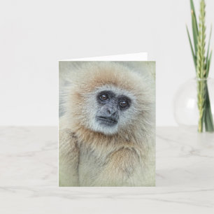 De Agradecimento Thankyou cartão