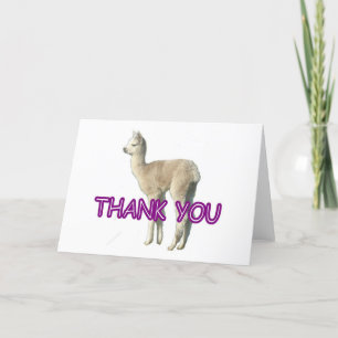 De Agradecimento Um cartão alpaca "Obrigado"