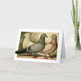 De Agradecimento Vintage Pigeons - Cartão