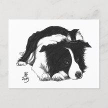 Cartão postal do Border Collie do Doggust 2019