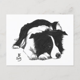 De Anúncio Cartão postal do Border Collie do Doggust 2019