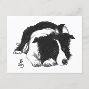 De Anúncio Cartão postal do Border Collie do Doggust 2019