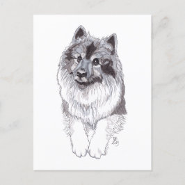 De Anúncio Cartão postal Doggust 2019 Keeshond